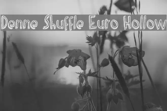 Denne Shuffle Euro Hollow Caratteri examples