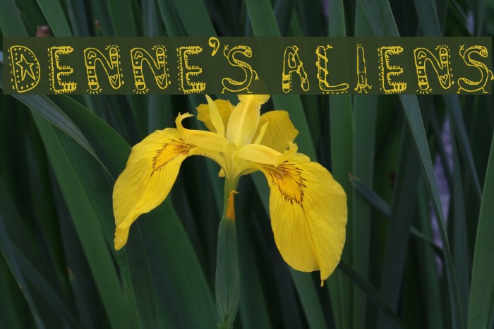 Denne's Aliens Font examples