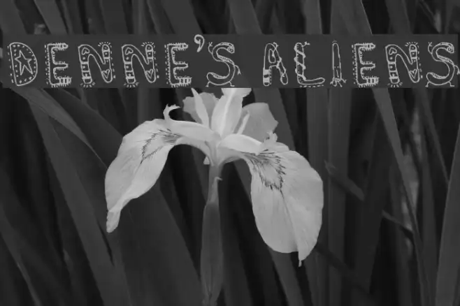 Denne's Aliens Example 1