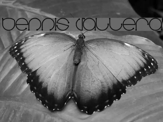 Dennis Vallera Font examples