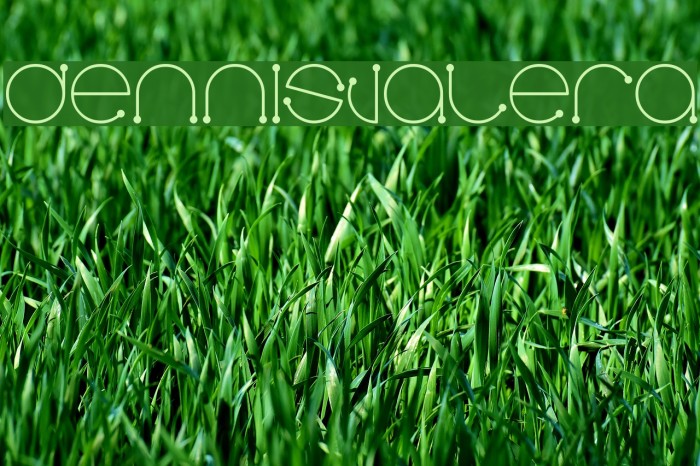 Dennisvalera Font examples