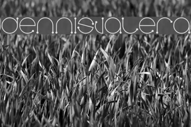 Dennisvalera Font examples