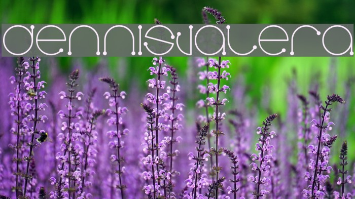 Dennisvalera Font examples
