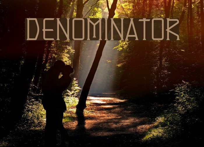 Denominator Font examples