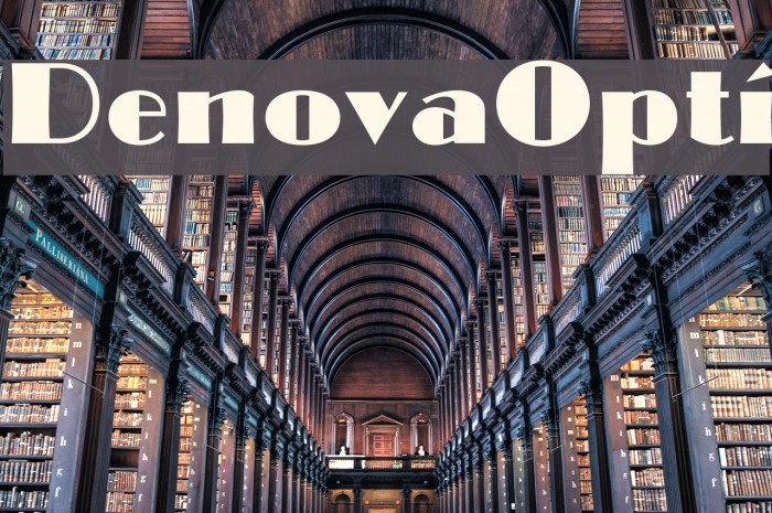 DenovaOpti Font examples