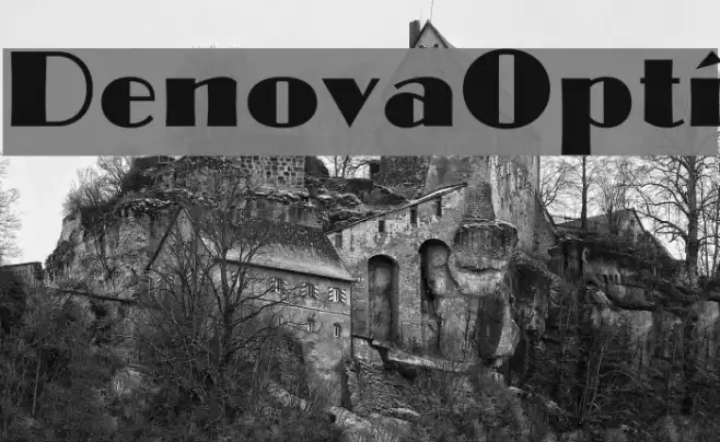 DenovaOpti Example 3