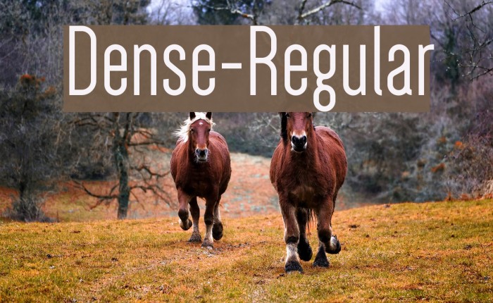 Dense-Regular Polices examples