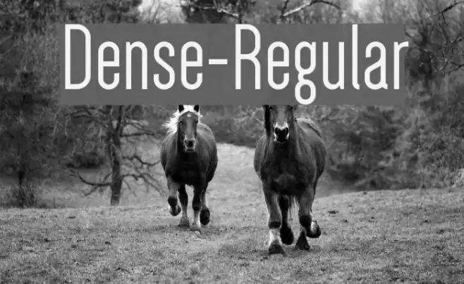 Dense-Regular Font examples