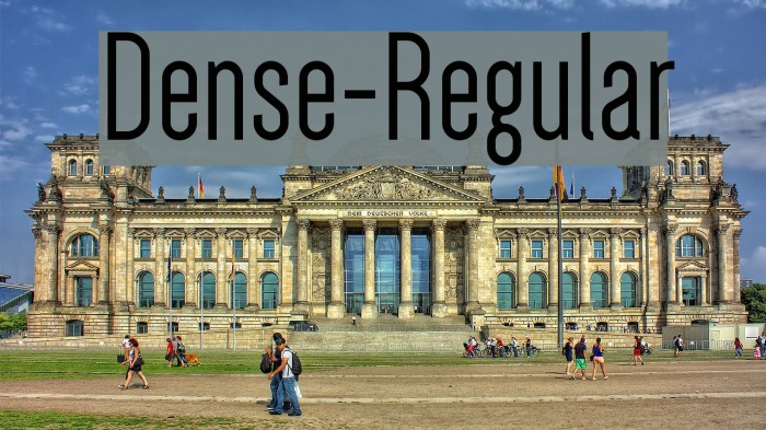 Dense-Regular Polices examples