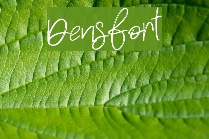 Densfort Font examples