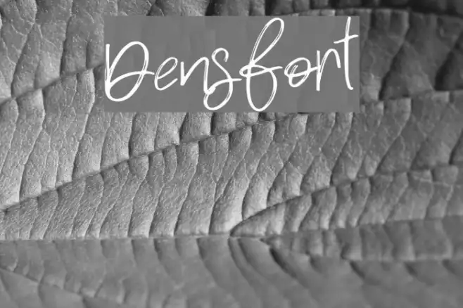 Densfort Example 2