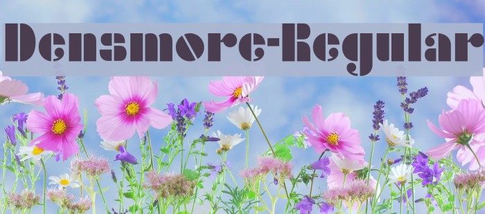 Densmore-Regular Font examples
