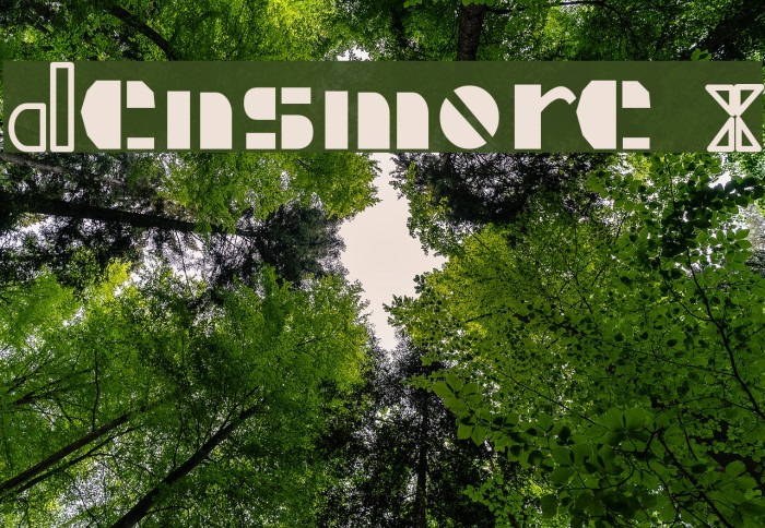 Densmore X Font examples