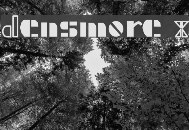 Densmore X Example 3