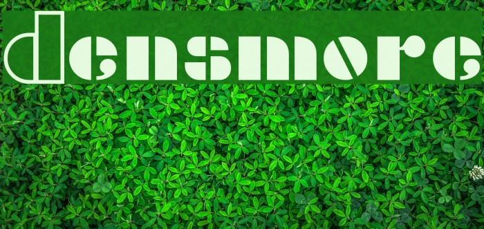 Densmore Font examples
