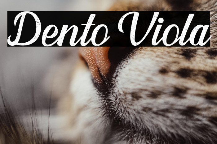 Dento Viola Example 1