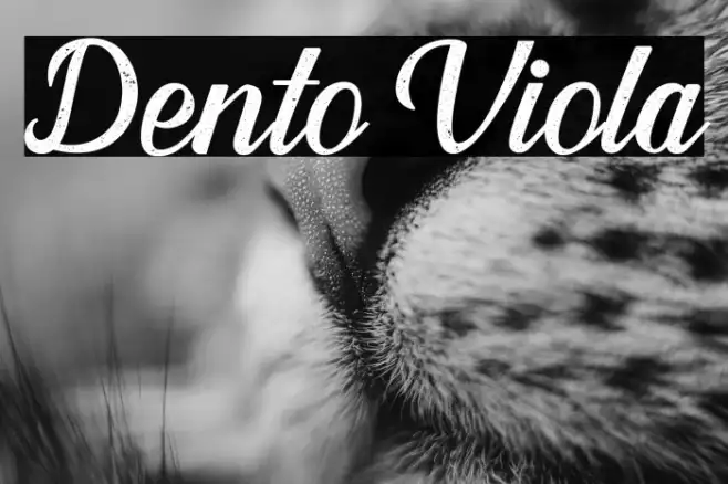 Dento Viola Example 1