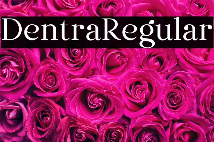 Dentra Regular Example 1