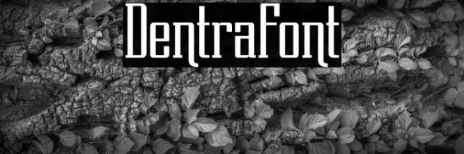 DentraFont Font examples