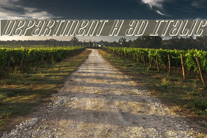 Department H 3D Italic Font examples