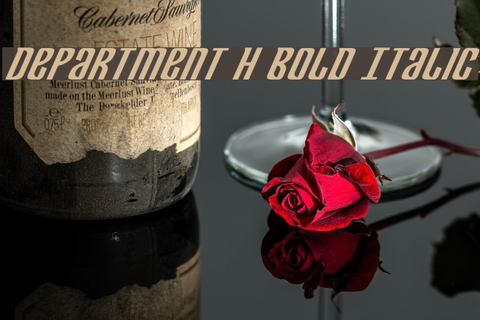 Department H Bold Italic Example 1