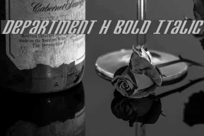Department H Bold Italic Example 1