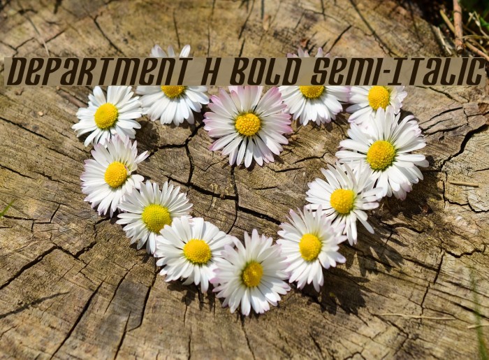Department H Bold Semi-Italic Example 3