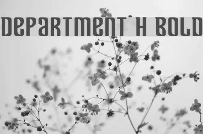 Department H Bold Example 1