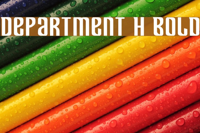Department H Bold Font examples