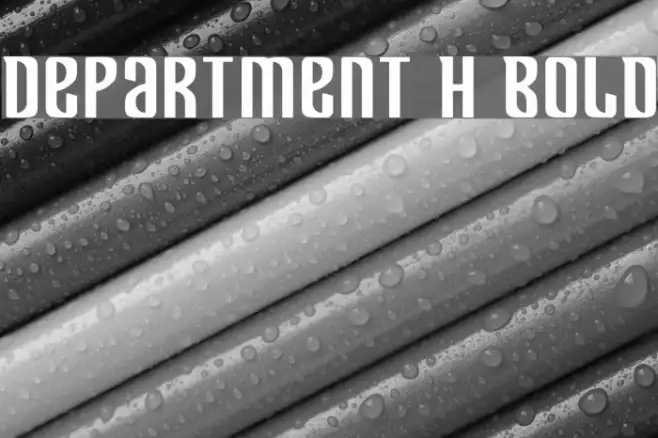 Department H Bold Example 2