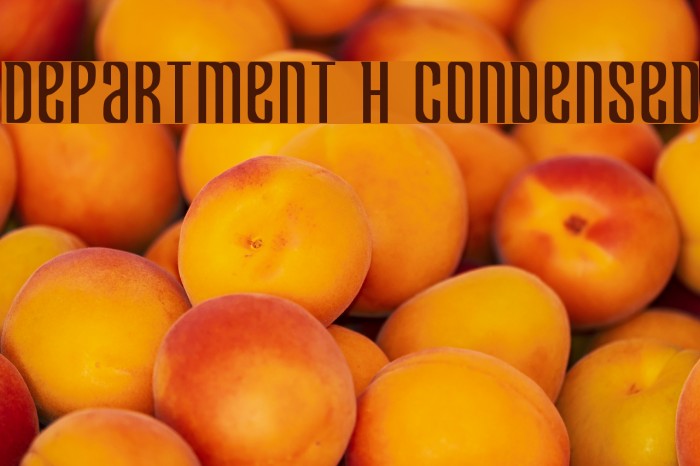 Department H Condensed Font examples