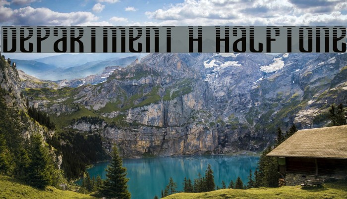 Department H Halftone Example 2