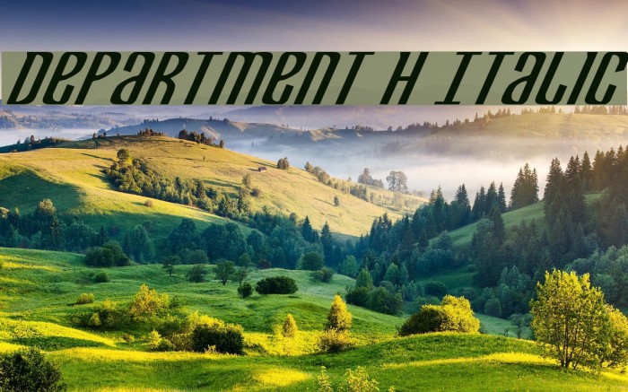 Department H Italic Example 3