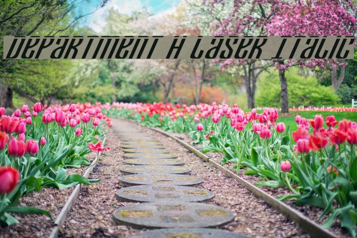 Department H Laser Italic Example 3