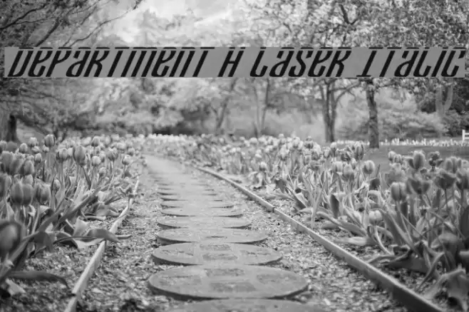 Department H Laser Italic Font examples