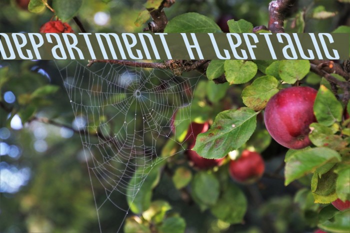Department H Leftalic Font examples