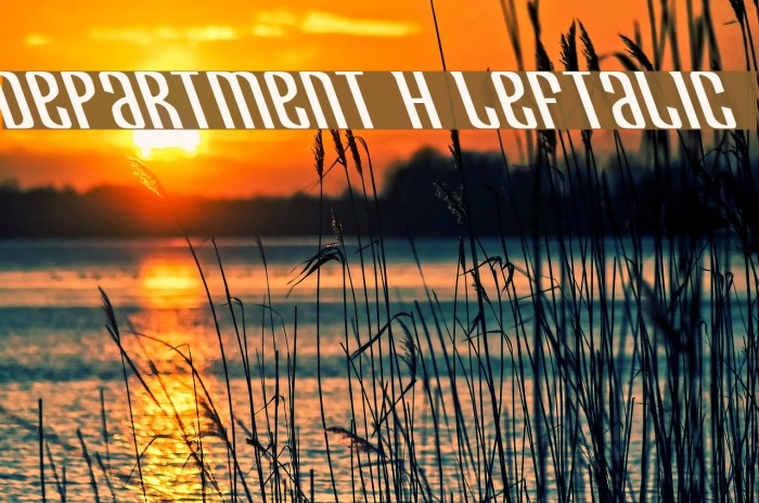 Department H Leftalic Font examples