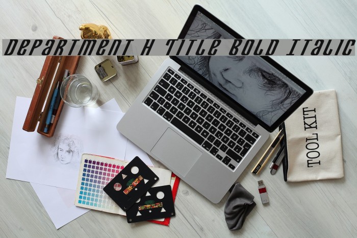 Department H Title Bold Italic Example 1