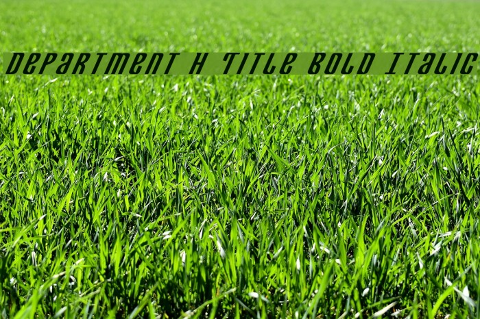 Department H Title Bold Italic Example 3