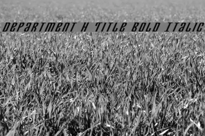 Department H Title Bold Italic Font examples