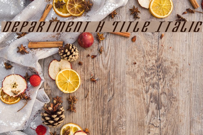 Department H Title Italic Font examples
