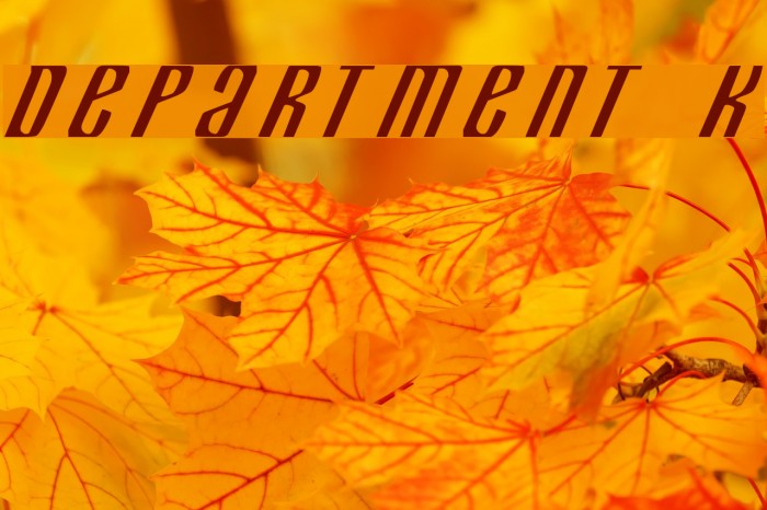 Department K Example 2