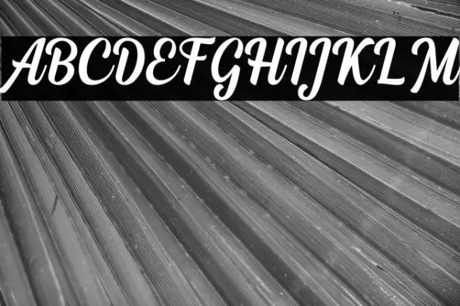 Dephiana Font examples