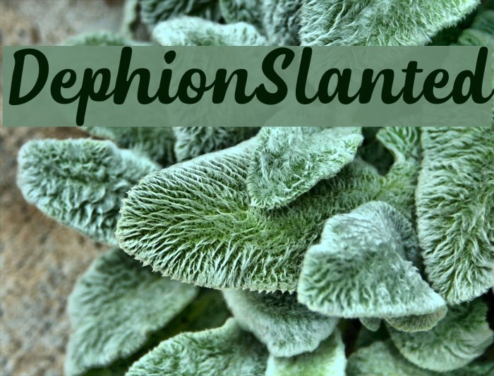 DephionSlanted Font examples
