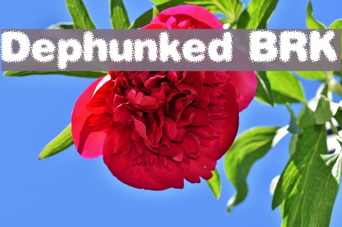 Dephunked BRK Font examples