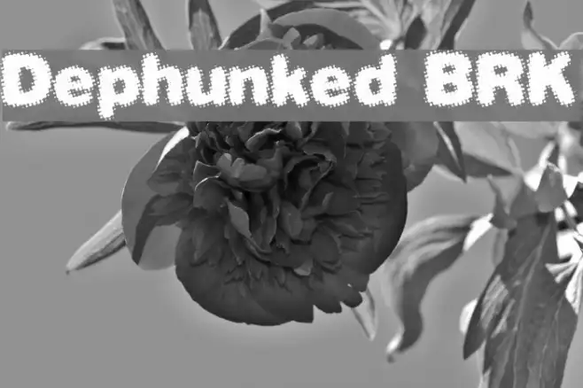 Dephunked BRK Example 3