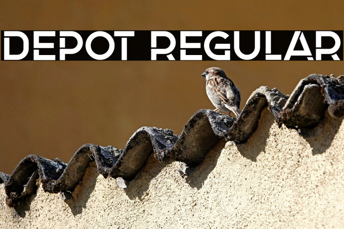 Depot Regular Example 1