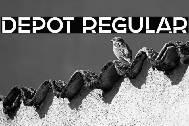 Depot Regular Example 1
