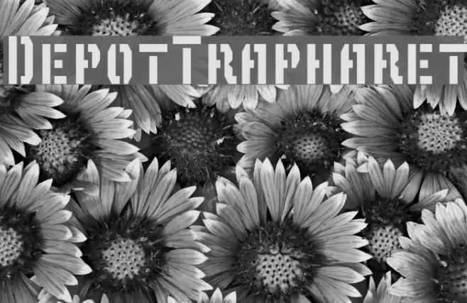 DepotTrapharet Example 2
