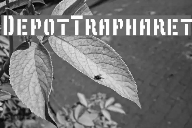 DepotTrapharet Example 3